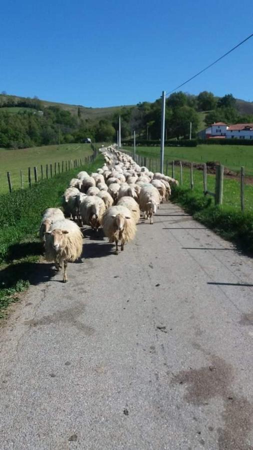 Suhescun Gite A La Ferme Larranda מראה חיצוני תמונה